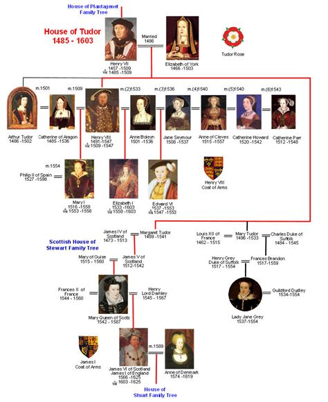 tudor genealoy chart.